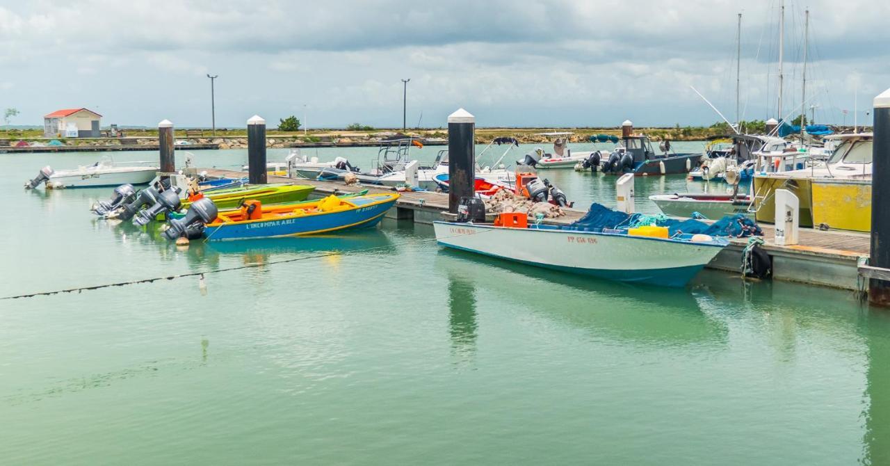 Studio Jacuzzis Et Piscine Au Centre Ville De Port-Louis Kültér fotó